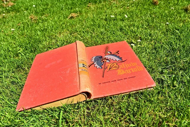 Boek van dongen 1
