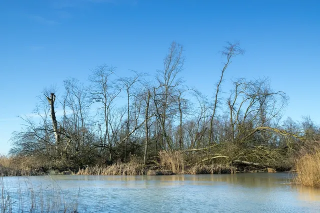 Drimmelen aan de Biesbosch - oude foto's en oude ansichten