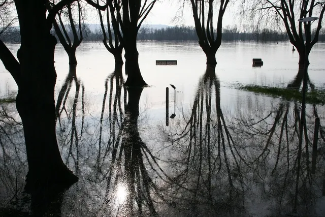 Watersnoodramp 1953 Kijk op het Veers verleden I